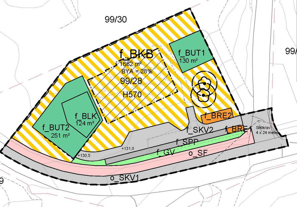 1919-bygget, detaljregulering