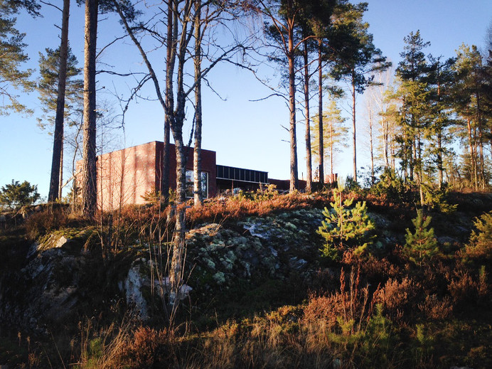 Enebolig, Mosebyneset